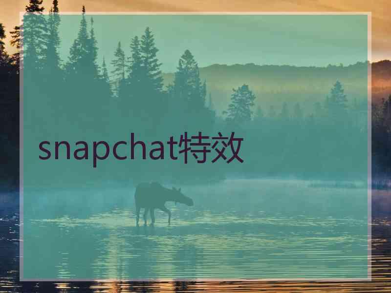snapchat特效