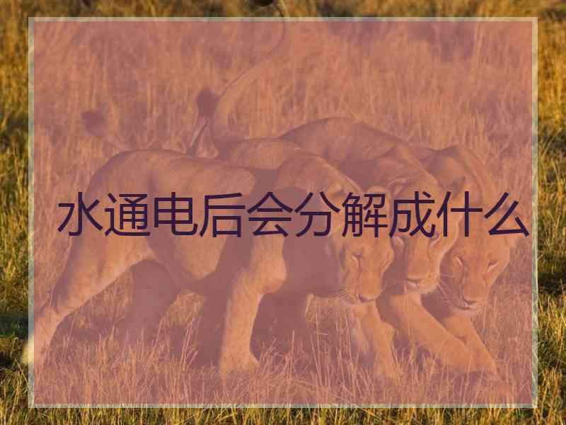 水通电后会分解成什么