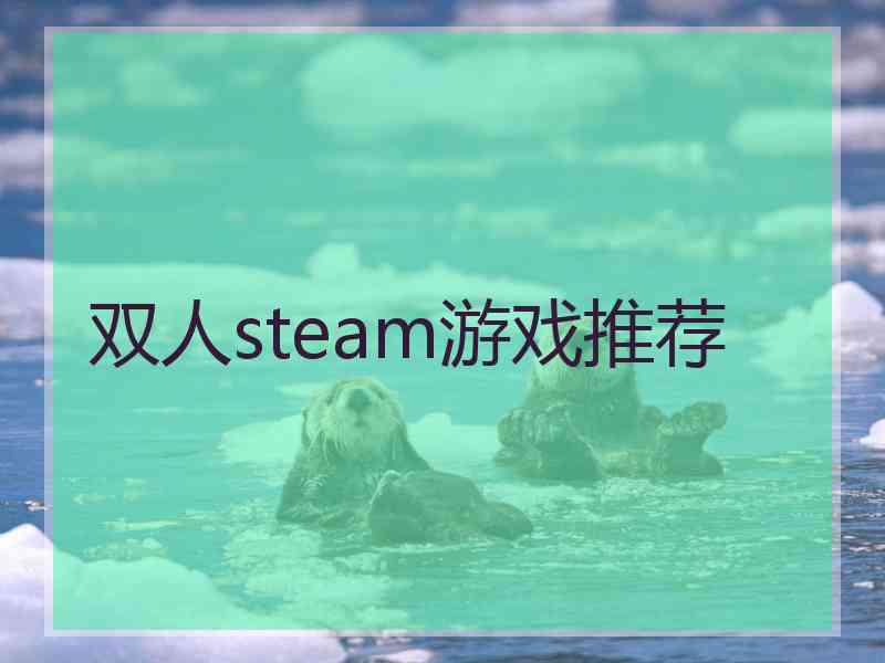 双人steam游戏推荐