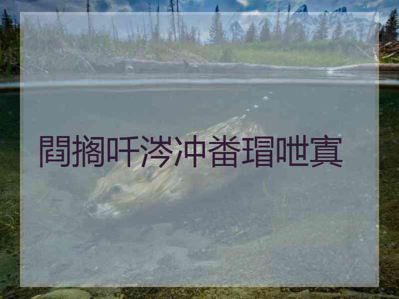 閰搁吀涔冲畨瑁呭寘