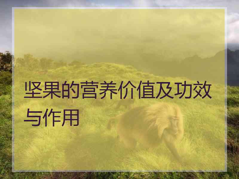 坚果的营养价值及功效与作用