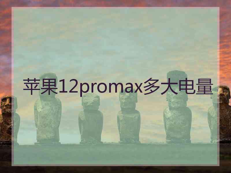 苹果12promax多大电量
