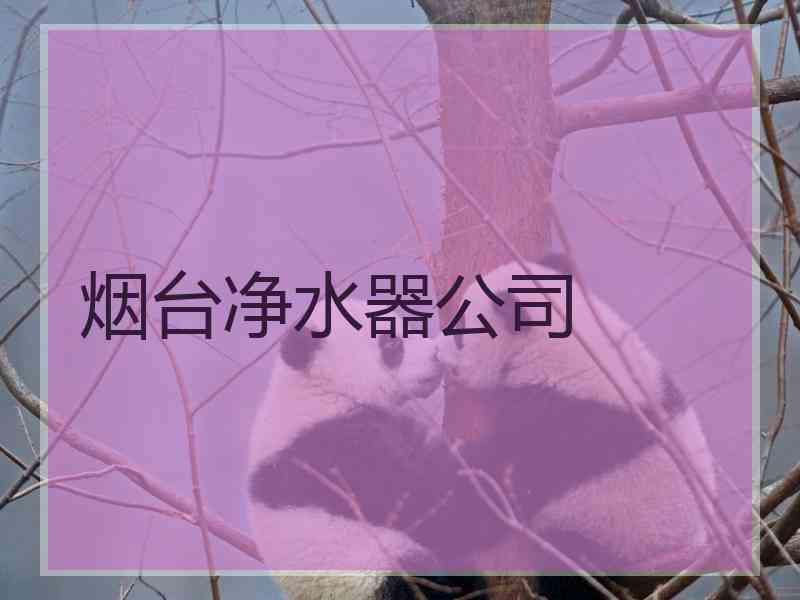 烟台净水器公司