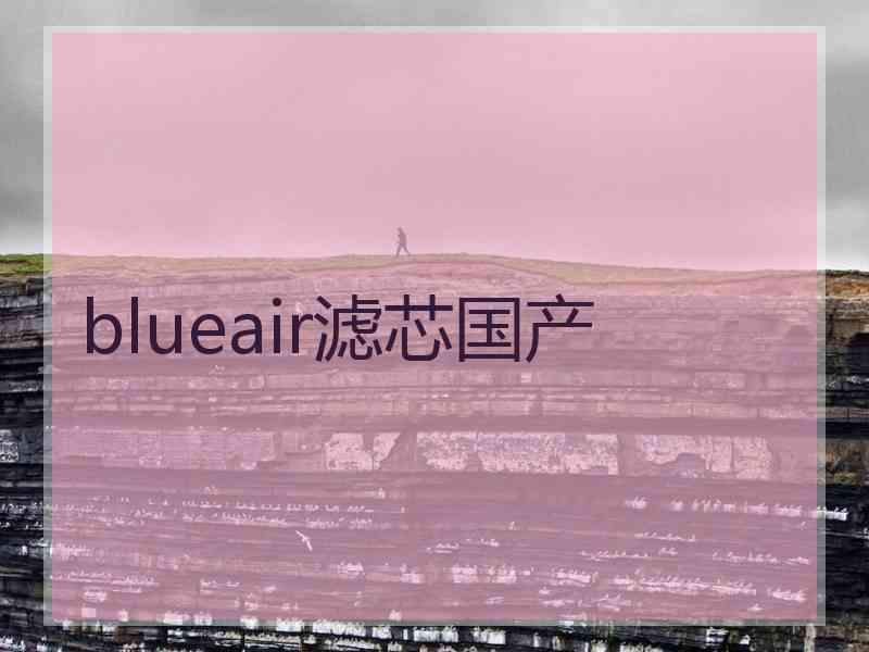 blueair滤芯国产