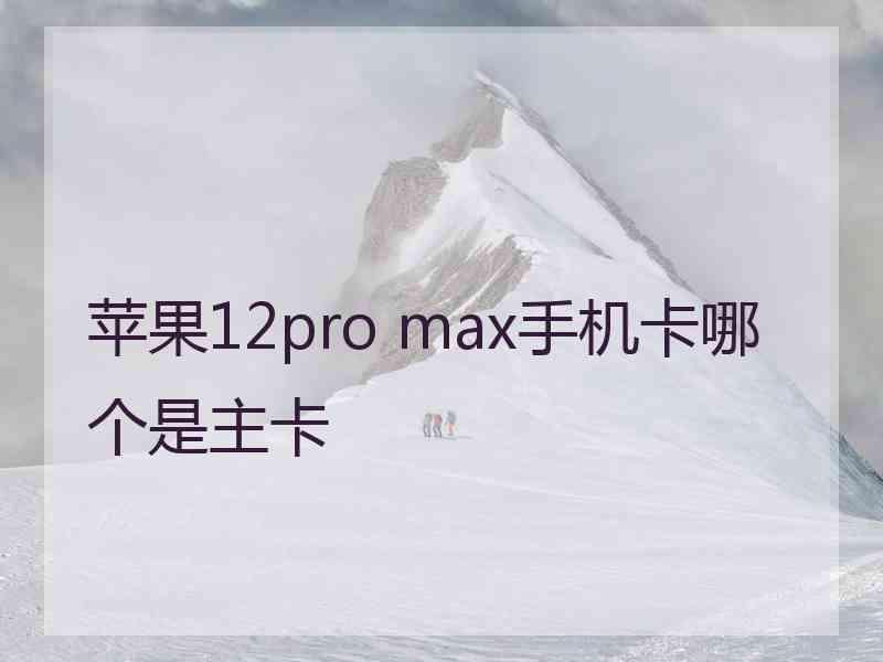 苹果12pro max手机卡哪个是主卡