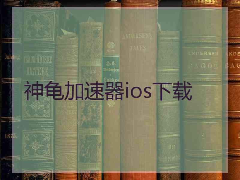 神龟加速器ios下载