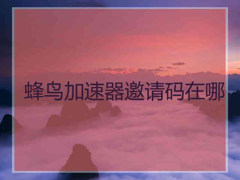 蜂鸟加速器邀请码在哪