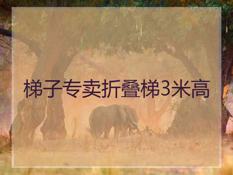 梯子专卖折叠梯3米高