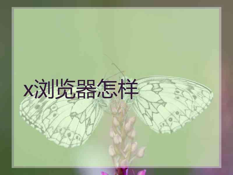 x浏览器怎样