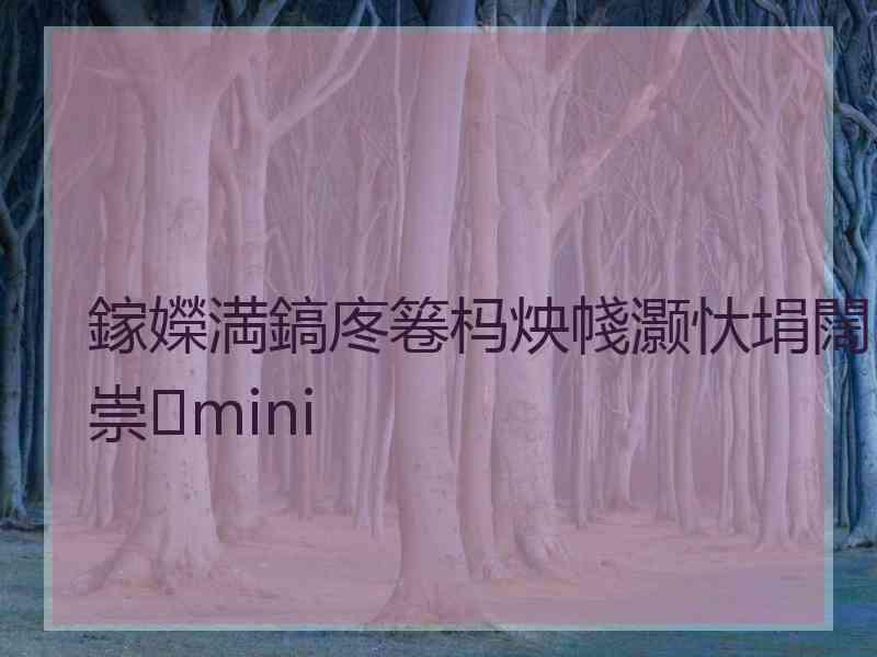 鎵嬫満鎬庝箞杩炴帴灏忕埍闊崇mini