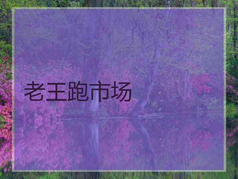老王跑市场