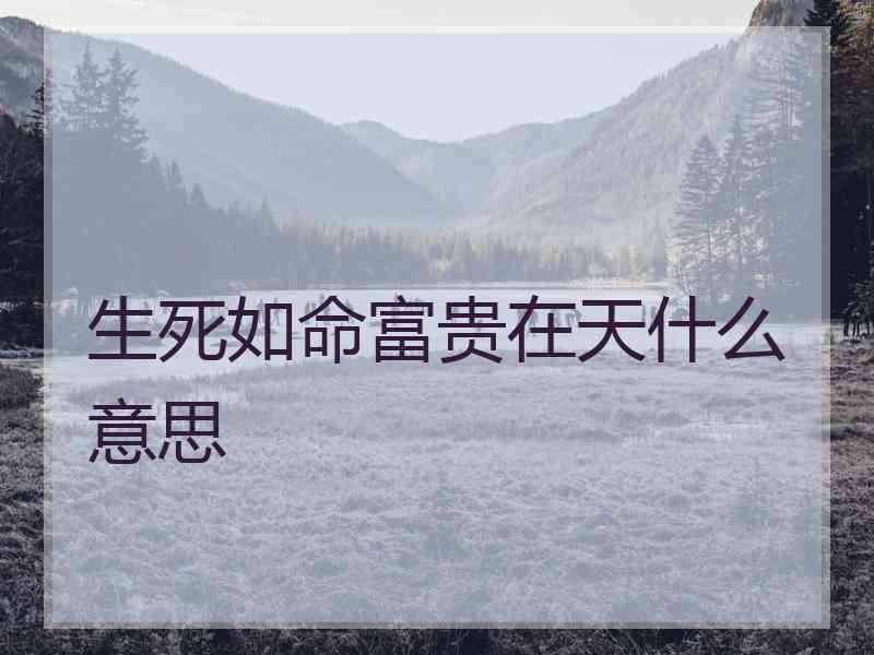 生死如命富贵在天什么意思