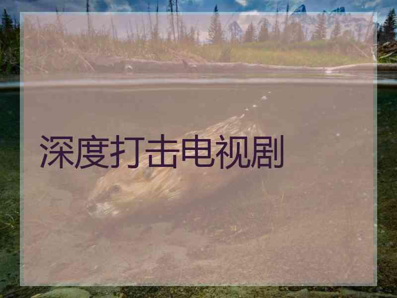 深度打击电视剧