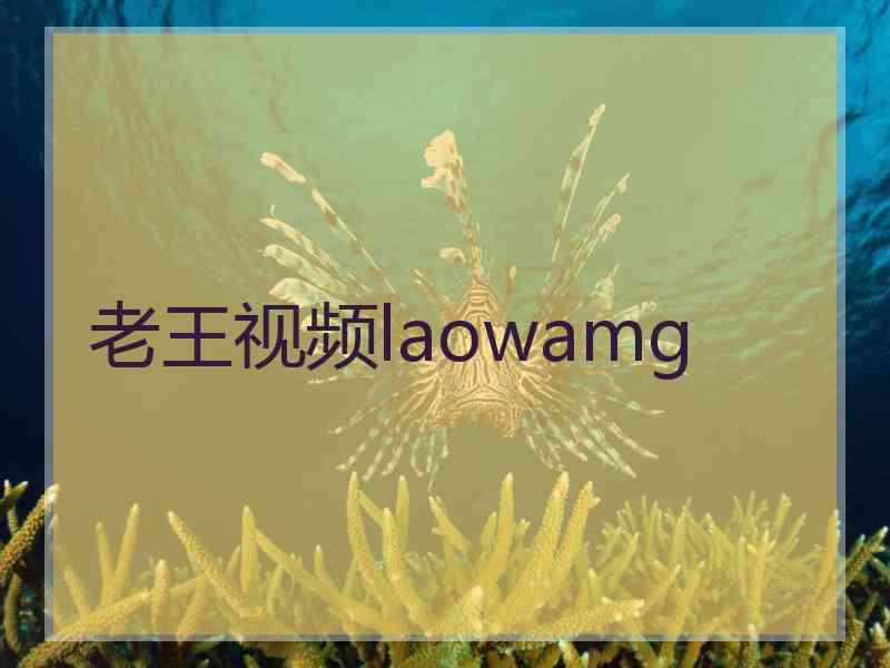 老王视频laowamg