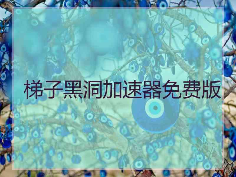 梯子黑洞加速器免费版