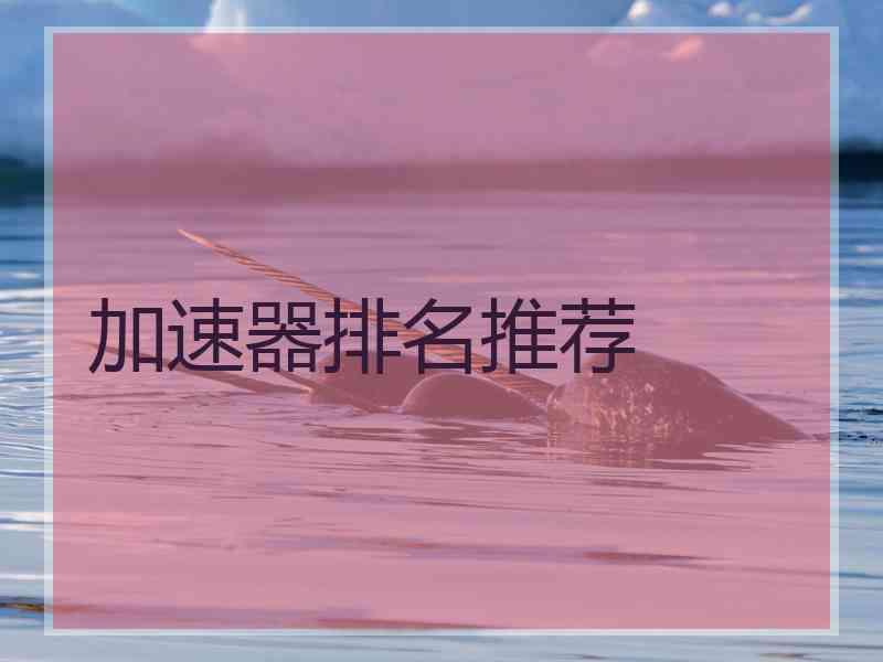 加速器排名推荐