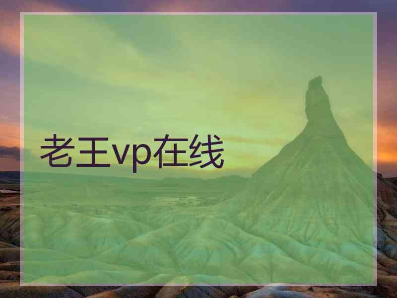 老王vp在线