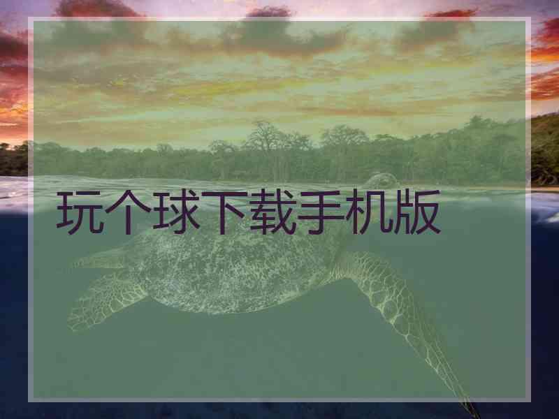 玩个球下载手机版