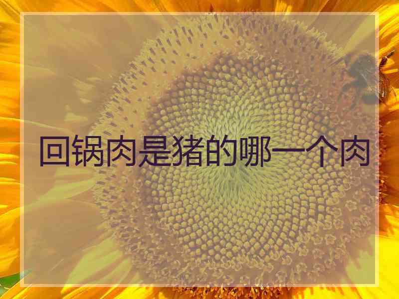 回锅肉是猪的哪一个肉