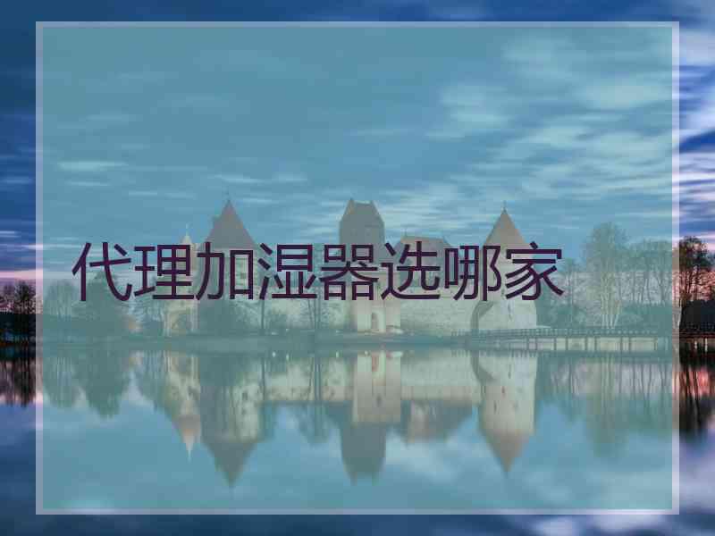 代理加湿器选哪家