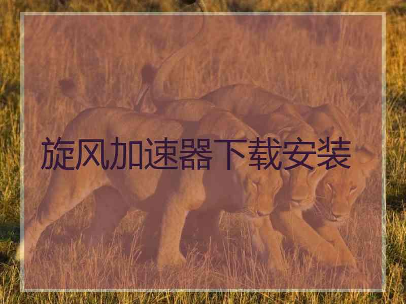 旋风加速器下载安装