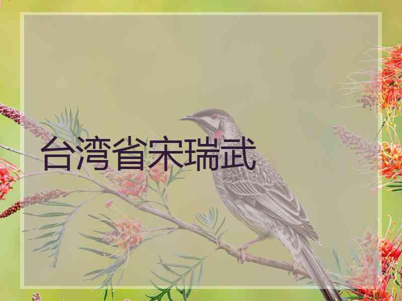 台湾省宋瑞武