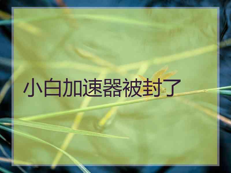 小白加速器被封了