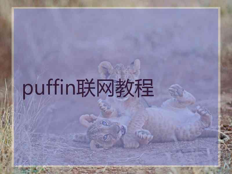 puffin联网教程