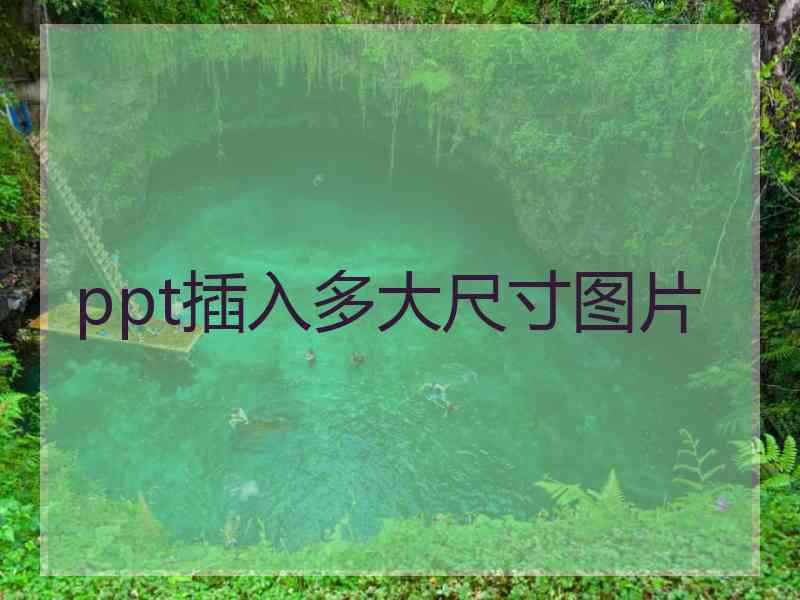 ppt插入多大尺寸图片
