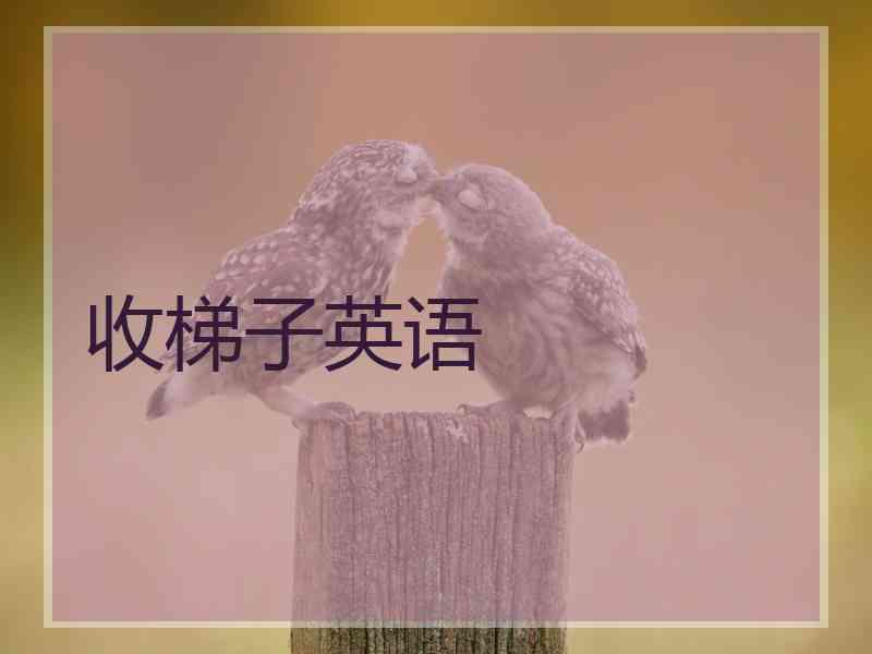 收梯子英语