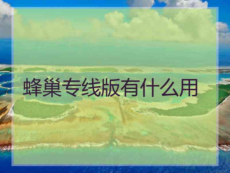 蜂巢专线版有什么用