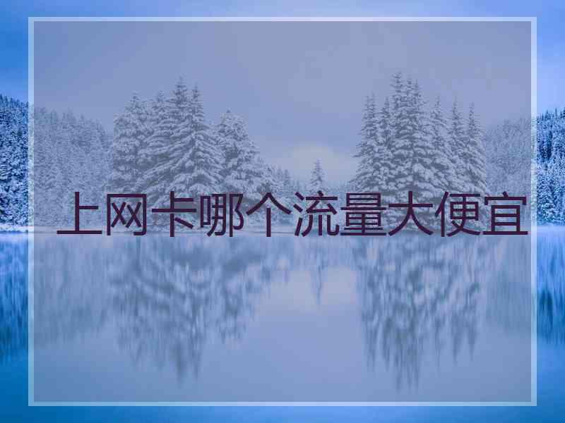 上网卡哪个流量大便宜