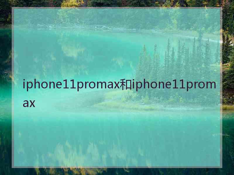 iphone11promax和iphone11promax