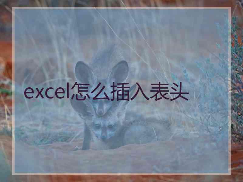 excel怎么插入表头