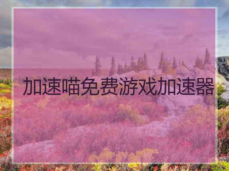 加速喵免费游戏加速器