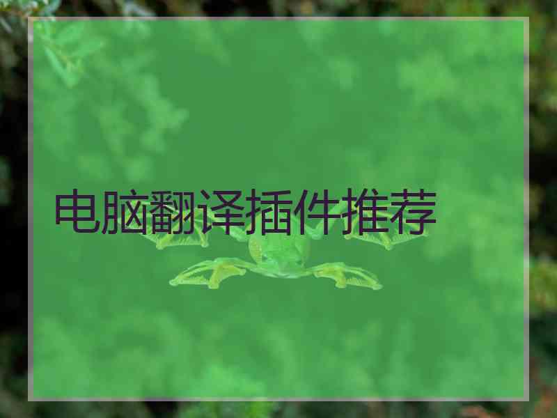 电脑翻译插件推荐