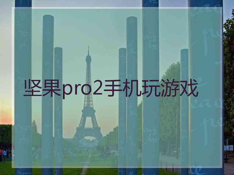 坚果pro2手机玩游戏