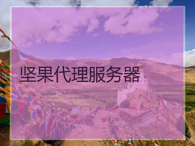 坚果代理服务器