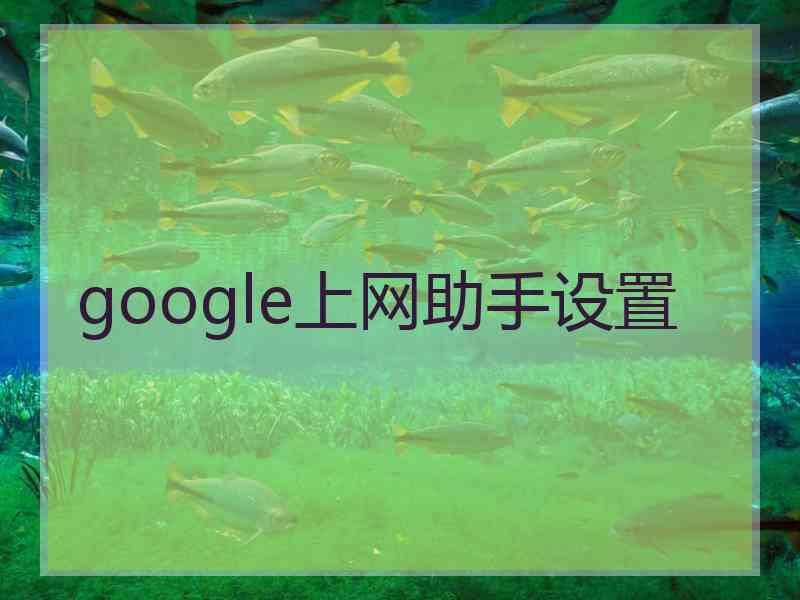 google上网助手设置