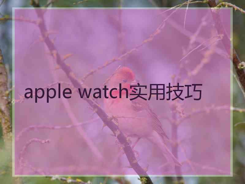 apple watch实用技巧