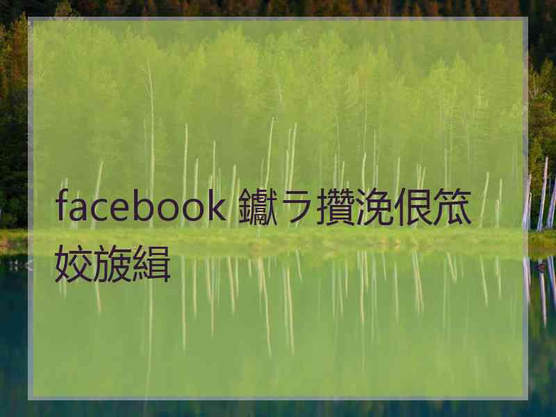 facebook 钀ラ攢浼佷笟姣旇緝