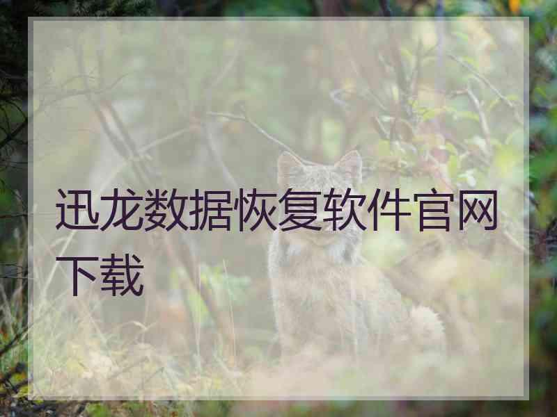 迅龙数据恢复软件官网下载