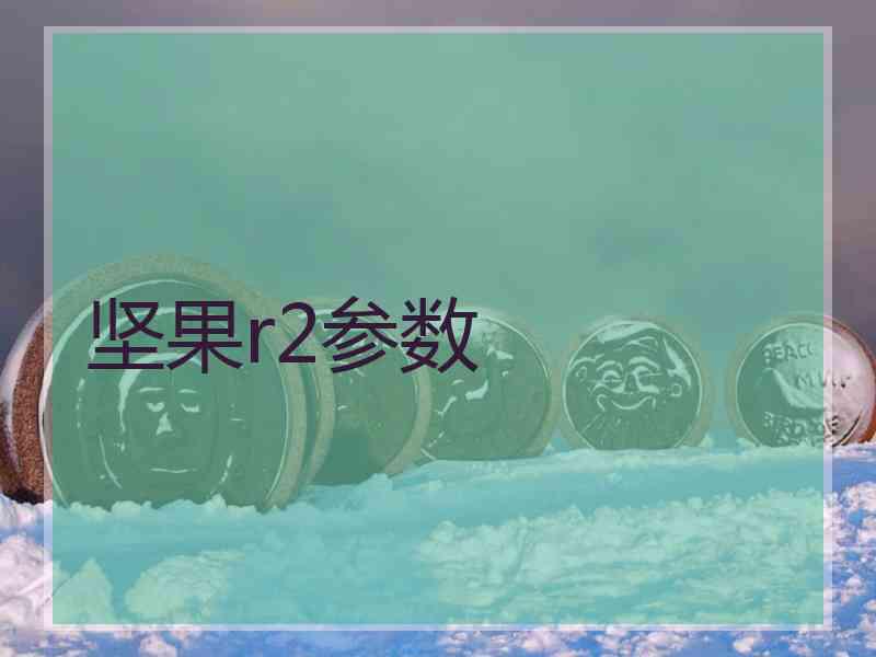 坚果r2参数