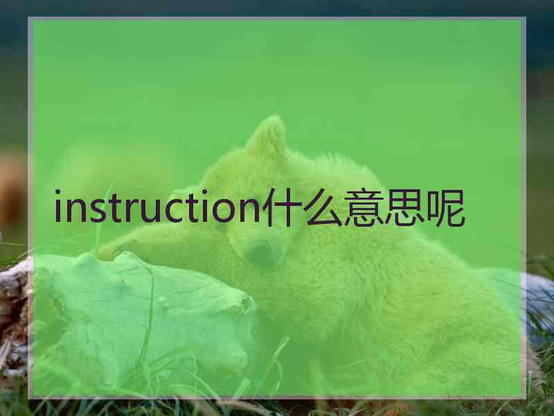 instruction什么意思呢