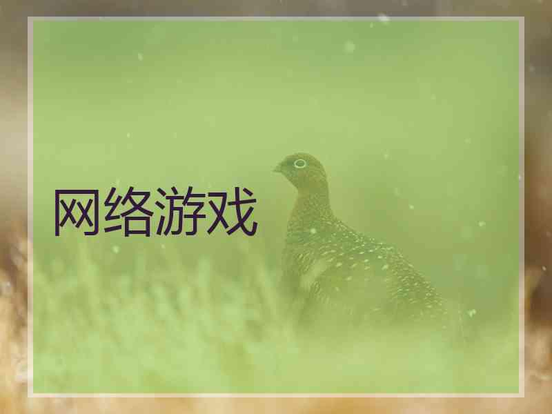 网络游戏
