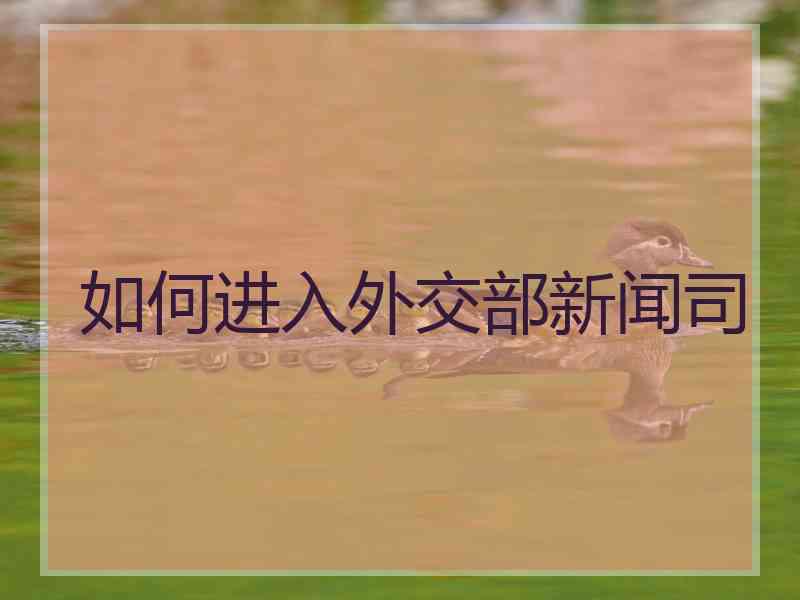 如何进入外交部新闻司