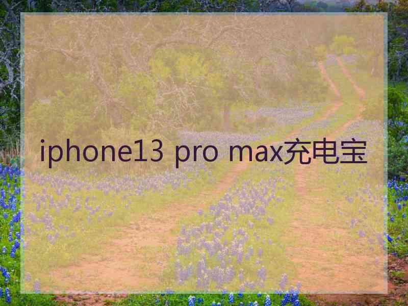 iphone13 pro max充电宝
