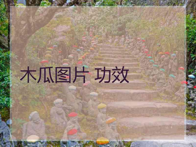 木瓜图片 功效