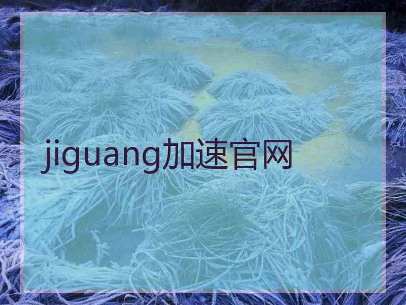 jiguang加速官网