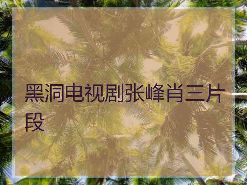 黑洞电视剧张峰肖三片段